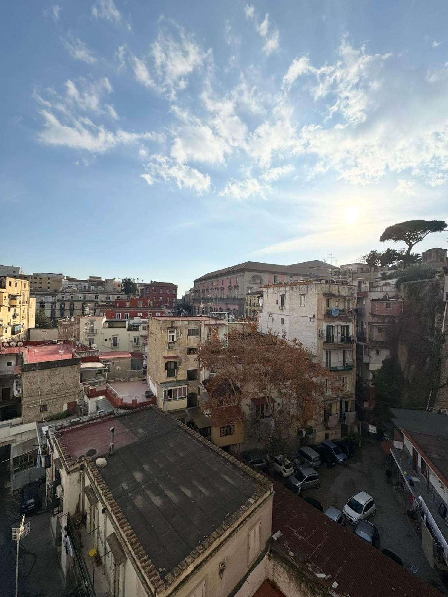 Malu Naples