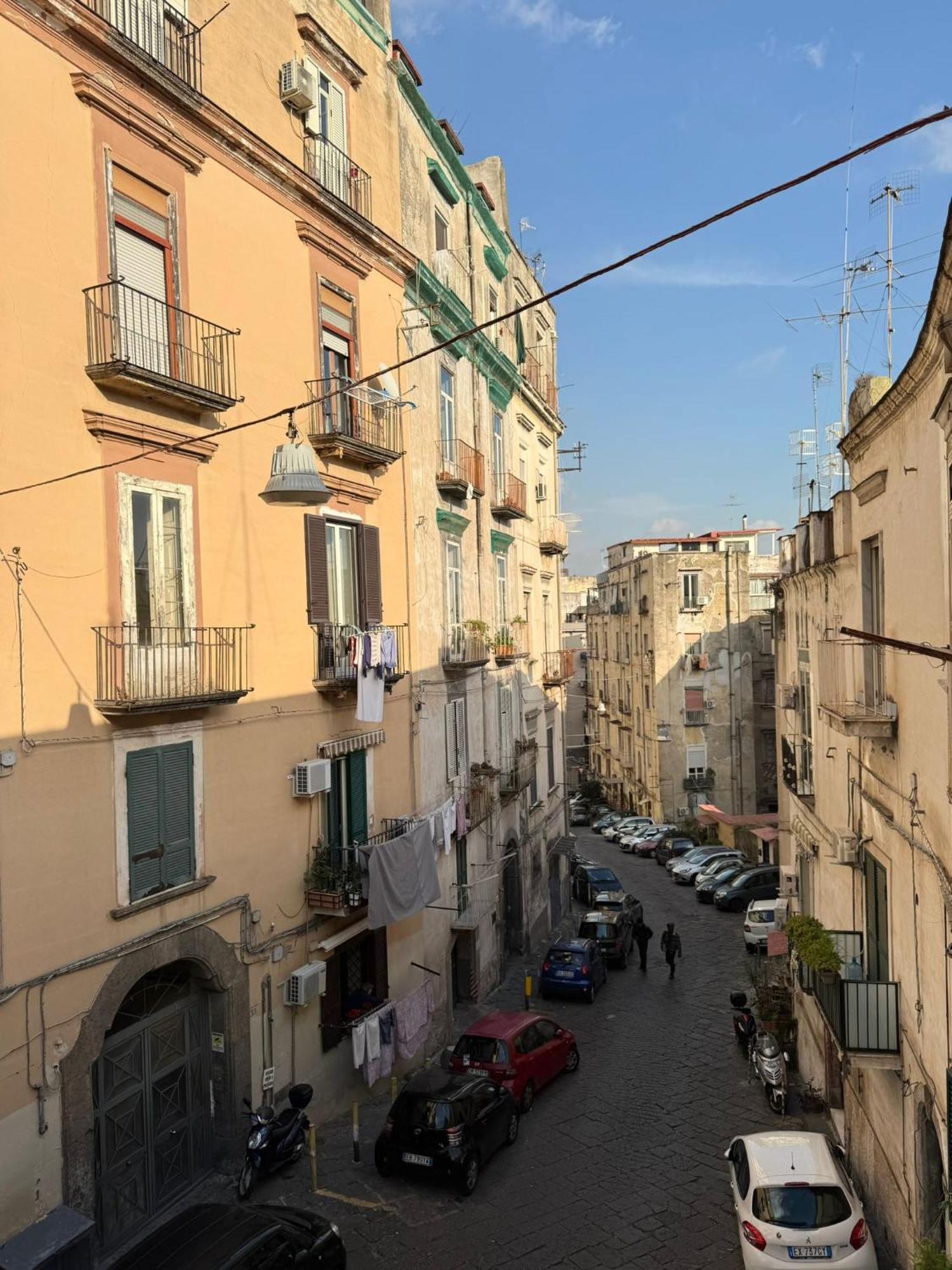 Apartment Malu